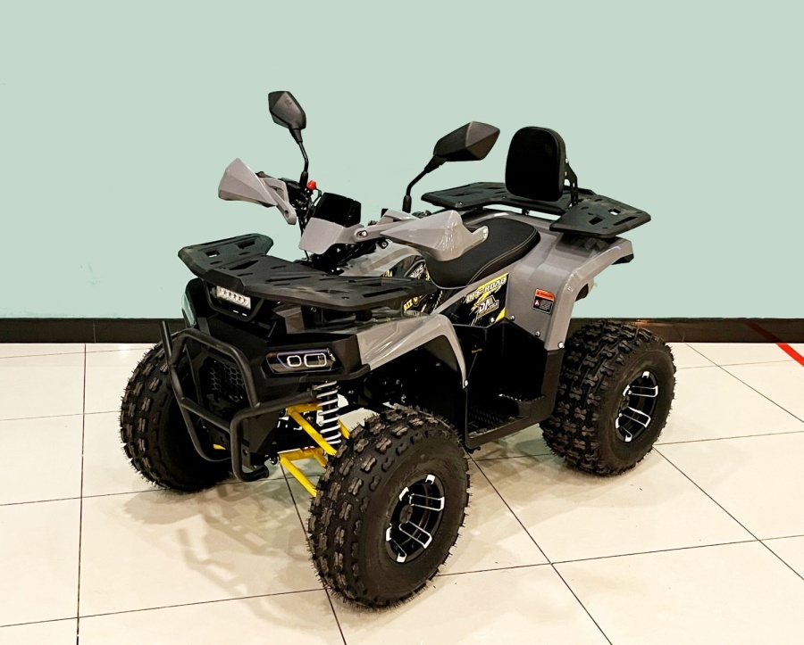 купить Квадроцикл Bison AFN 125 LUX