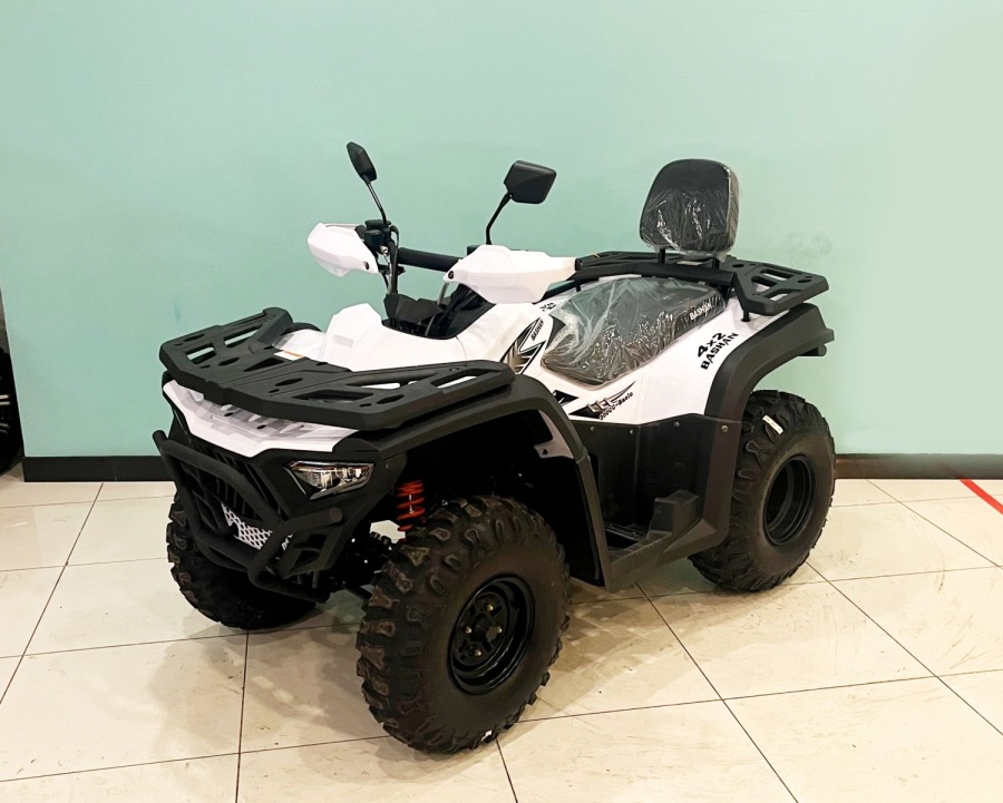 купить Квадроцикл Bashan Explorer 300 Basic