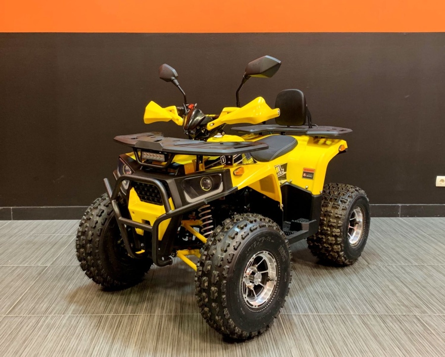 купить Квадроцикл Bison Forest 125 Lux купить Квадроцикл Bison Forest 125 Lux