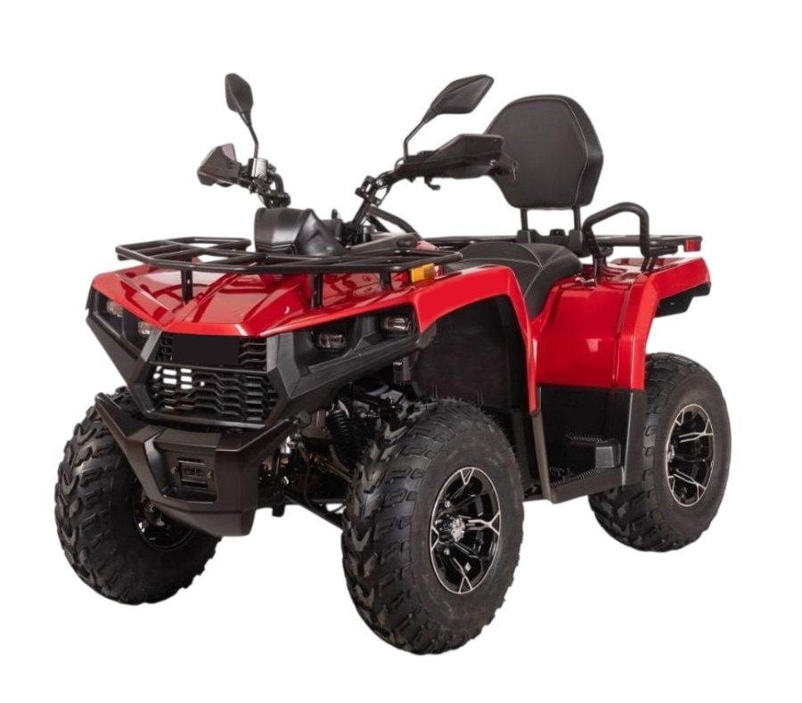 купить Квадрицикл Bizon YK250 LUX EFI