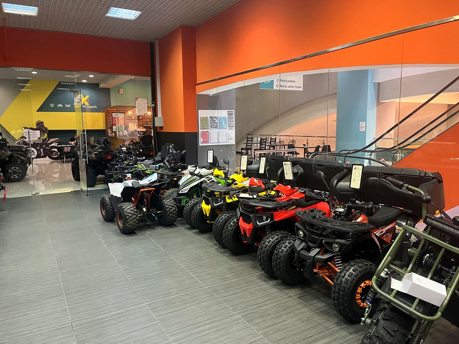 Новое поступление квадроциклов!