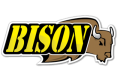 BISON BISON